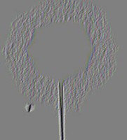 /album/galleria-foto-sfera-in-movimento/a1362760434052bhzz-sa-riga-sfera-jpg/